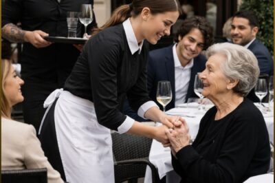 WHEN THEY MOCKED THE WAITRESS FOR HELPING A FALLEN OLD WOMAN, THEY DIDN’T KNOW SHE WAS THE KING OF CHICAGO’S MOTHER