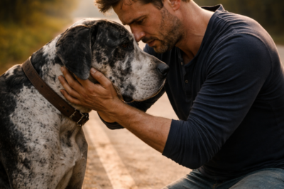I FOUND MY DOG ALIVE AFTER MY SISTER DUMPED HIM ON THE HIGHWAY, SO I CAME HOME, REMOVED THEM FROM MY WILL, AND GAVE MY HOUSE TO THE SHELTER INSTEAD