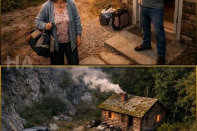 HE HAD HIS 70-YEAR-OLD STEPMOTHER “DECLARED GONE” AFTER KICKING HER OUT AT SUNDOWN, BUT THE SMOKE RISING FROM A HIDDEN QUARRY CABIN SIX MONTHS LATER EXPOSED THE ONE DEED THAT COULD RUIN HIM