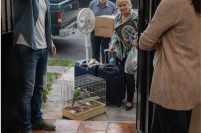 HE THREW YOU OUT OF THE HOUSE YOU PAID FOR IN SOCKS TO “TAKE CARE OF FAMILY,” BUT BY MORNING HE REALIZED HE’D LOCKED HIMSELF INSIDE A LIE HE COULDN’T AFFORD