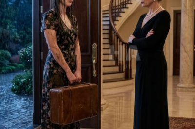 After 23 Years Working Abroad to Support Her Family, She Came Home Pretending She Had Lost Everything… And Her Own Mother Threw Her Out Saying, “We Don’t Support Failures in This House”