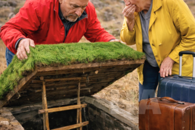 ABANDONED BY THEIR CHILDREN DISCOVER A PASSAGE IN THE MOUNTAIN… AND WHAT WAS INSIDE….