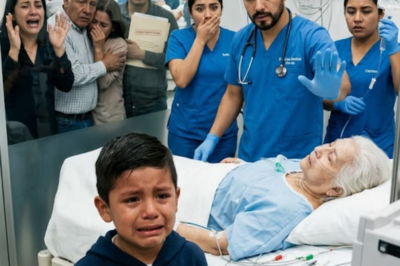 Grandmother Was About to Donate Her Kidney to Her Only Son… Until Her 8-Year-Old Grandson Burst Into the Operating Room With a Recording That Exposed Everything